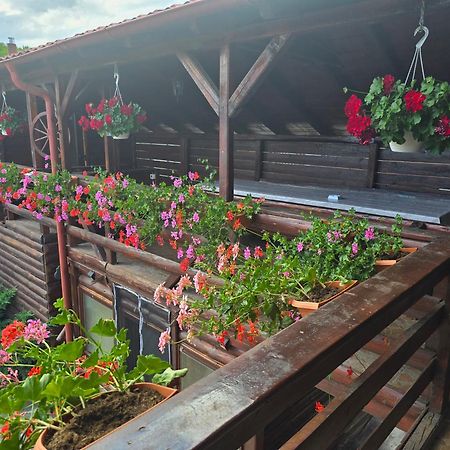 Вилла Casa Baciu Турда Экстерьер фото