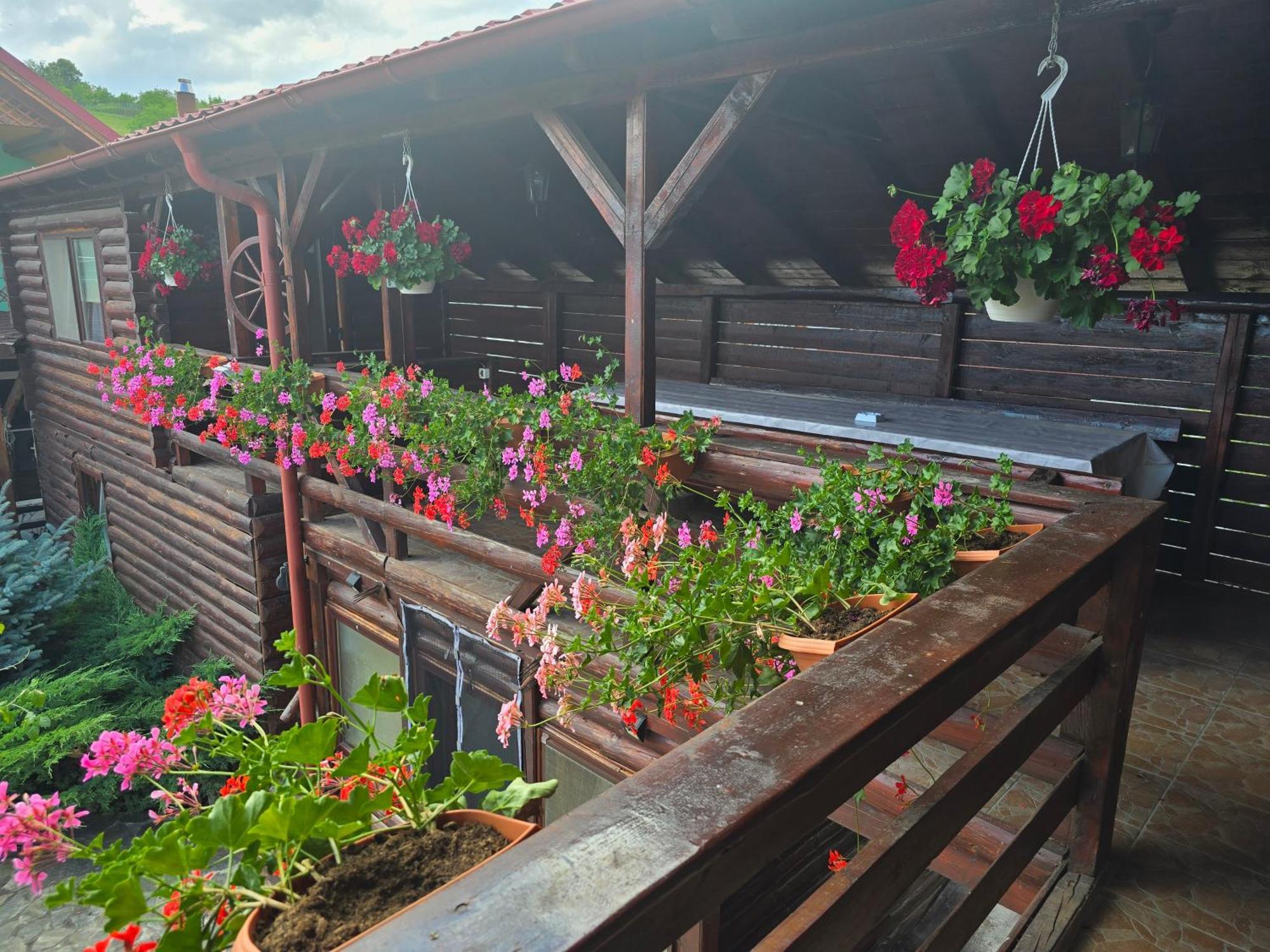Вилла Casa Baciu Турда Экстерьер фото